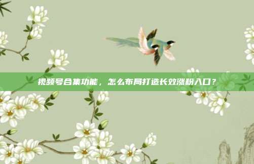 视频号合集功能,怎么布局打造长效涨粉入口?