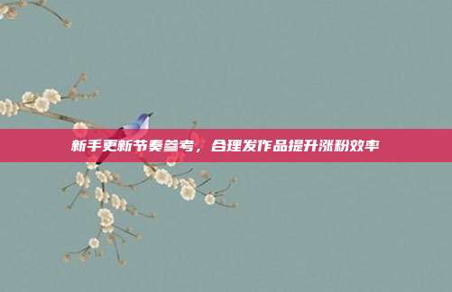 新手更新节奏参考，合理发作品提升涨粉效率