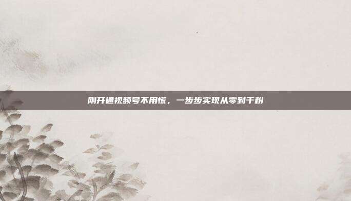 刚开通视频号不用慌，一步步实现从零到千粉