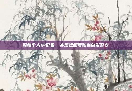 深耕个人IP形象,实现视频号粉丝自发裂变