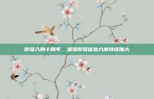 醉驾入刑十周年，酒驾醉驾查处力度持续加大