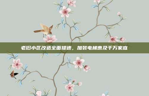 老旧小区改造全面提速,加装电梯惠及千万家庭