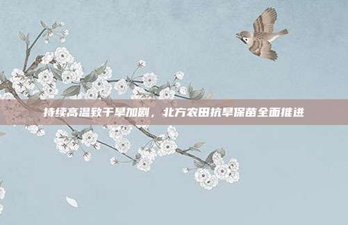 持续高温致干旱加剧，北方农田抗旱保苗全面推进