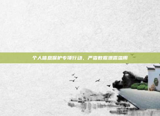 个人信息保护专项行动，严查数据泄露滥用