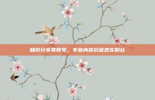 知识分享类账号,专业内容沉淀忠实粉丝