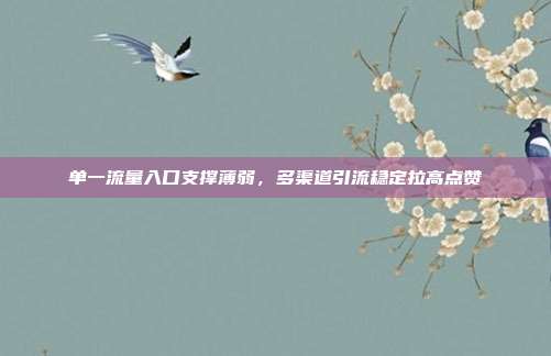 单一流量入口支撑薄弱，多渠道引流稳定拉高点赞