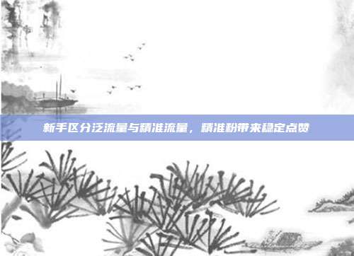 新手区分泛流量与精准流量,精准粉带来稳定点赞