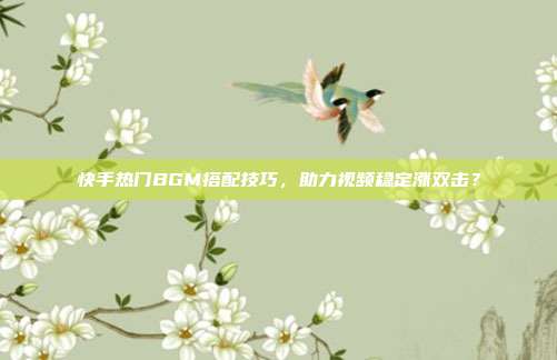 快手热门BGM搭配技巧,助力视频稳定涨双击?