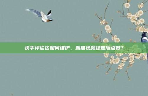 快手评论区如何维护,助推视频稳定涨点赞?