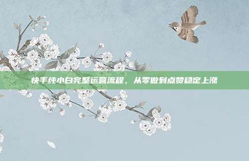 快手纯小白完整运营流程，从零做到点赞稳定上涨