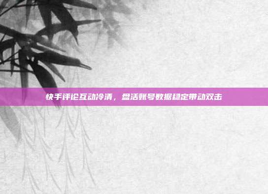 快手评论互动冷清,盘活账号数据稳定带动双击