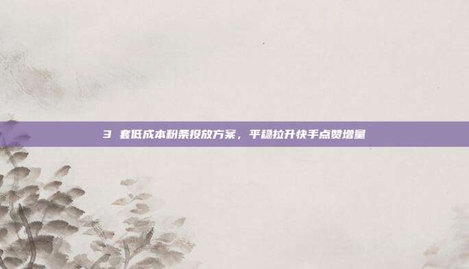 3 套低成本粉条投放方案,平稳拉升快手点赞增量