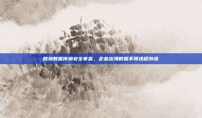 跨境数据传输安全审查,企业出海数据不得违规外流