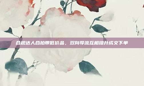 合规达人合拍带低价品,双向导流互相提升成交下单