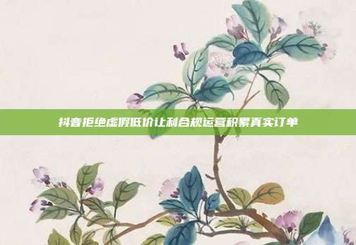 抖音拒绝虚假低价让利合规运营积累真实订单