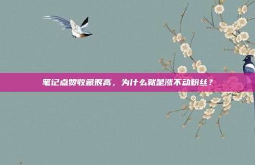 笔记点赞收藏很高,为什么就是涨不动粉丝?
