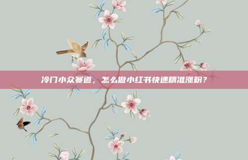 冷门小众赛道，怎么做小红书快速精准涨粉？