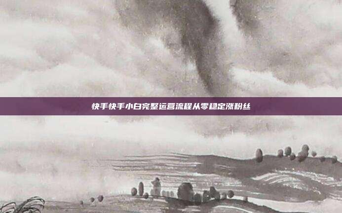 快手快手小白完整运营流程从零稳定涨粉丝