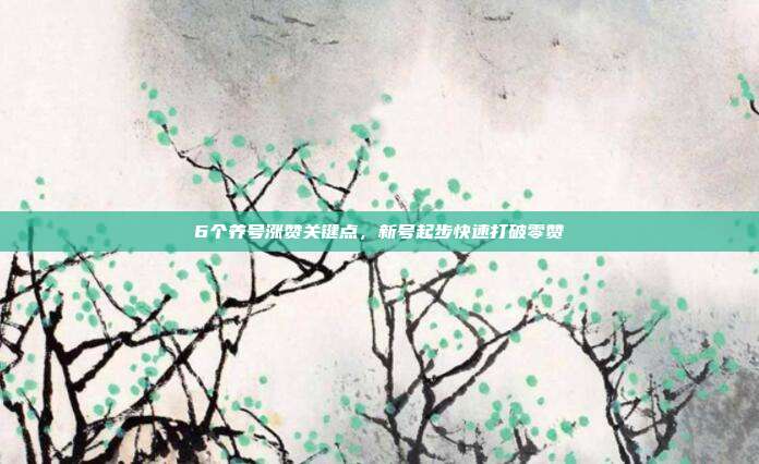 6个养号涨赞关键点,新号起步快速打破零赞