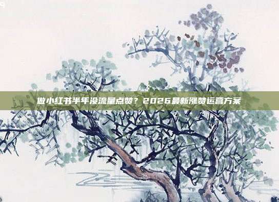 做小红书半年没流量点赞?2026最新涨赞运营方案