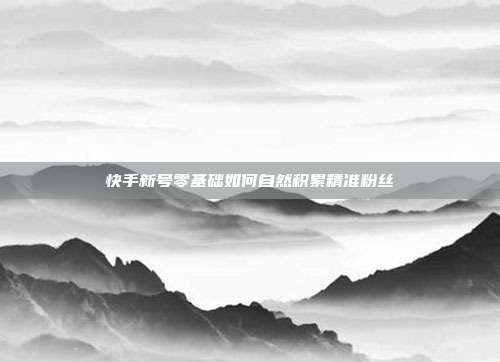 快手新号零基础如何自然积累精准粉丝