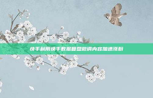 快手利用快手数据复盘微调内容加速涨粉