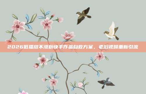 2026低播放不涨粉快手作品自救方案,老旧视频重新引流
