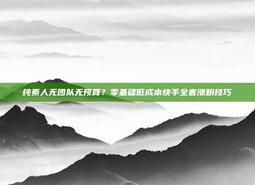 纯素人无团队无预算？零基础低成本快手全套涨粉技巧