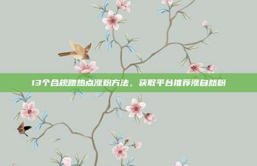 13个合规蹭热点涨粉方法,获取平台推荐涨自然粉