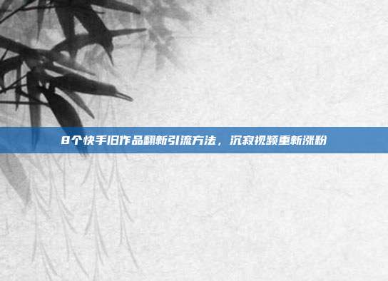 8个快手旧作品翻新引流方法,沉寂视频重新涨粉
