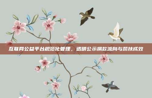 互联网公益平台规范化管理，透明公示捐款流向与帮扶成效