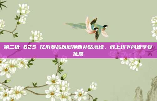 第二批 625 亿消费品以旧换新补贴落地，线上线下同步享受优惠