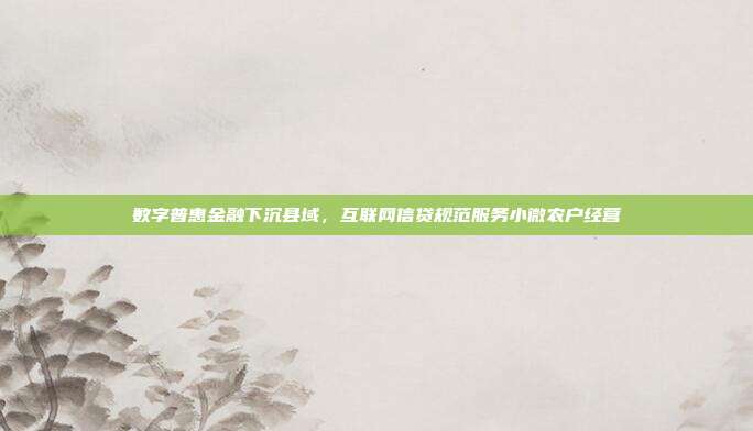 数字普惠金融下沉县域，互联网信贷规范服务小微农户经营