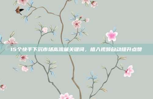 15个快手下沉市场高流量关键词，植入视频自动提升点赞