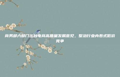 商务部六部门出台电商高质量发展意见，整治行业内卷式低价竞争