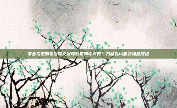 不会写视频号引导文案导致视频零点赞?万能私域吸赞标题模板