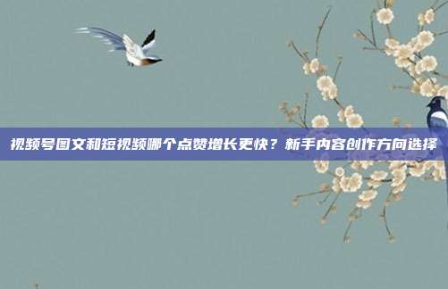 视频号图文和短视频哪个点赞增长更快？新手内容创作方向选择