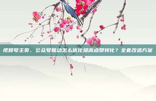 视频号主页、公众号联动怎么优化提高点赞转化?全套改造方案