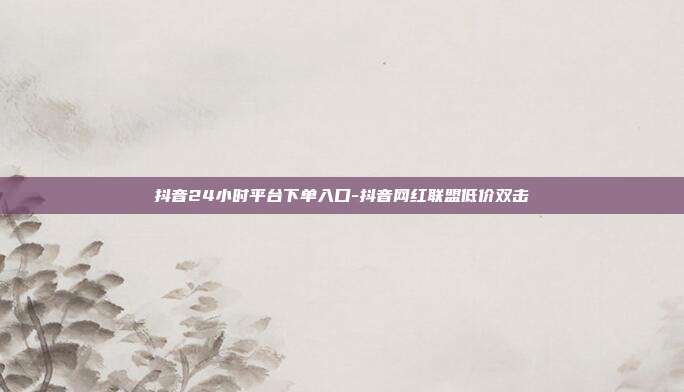 抖音24小时平台下单入口-抖音网红联盟低价双击