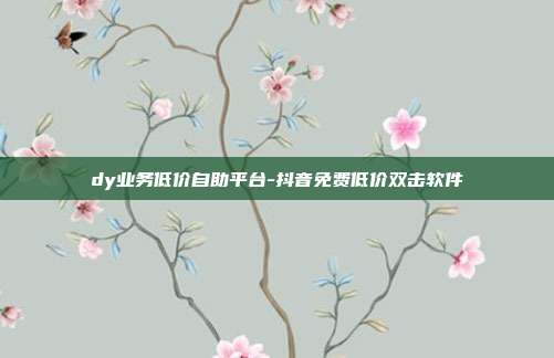 dy业务低价自助平台-抖音免费低价双击软件