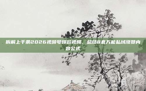 拆解上千条2026视频号爆款视频,总结8套万能私域涨赞内容公式