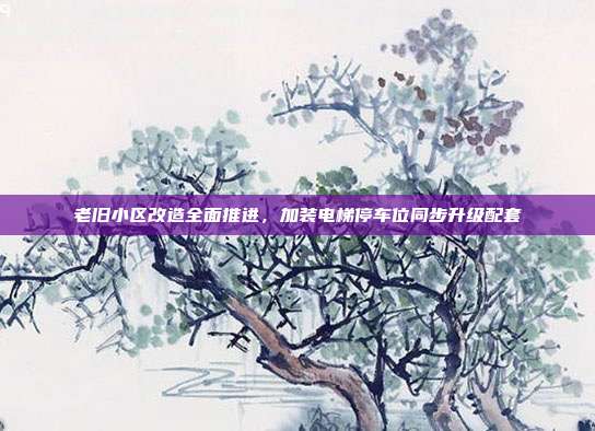 老旧小区改造全面推进,加装电梯停车位同步升级配套