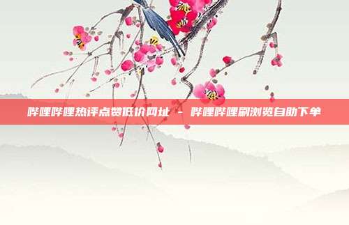 哔哩哔哩热评点赞低价网址 - 哔哩哔哩刷浏览自助下单