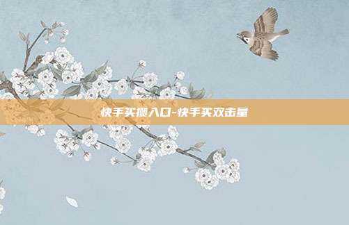 快手买攒入口-快手买双击量