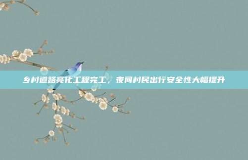 乡村道路亮化工程完工,夜间村民出行安全性大幅提升