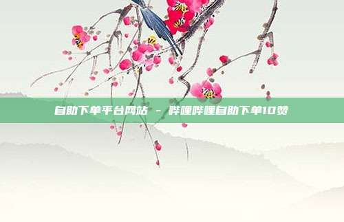 自助下单平台网站 - 哔哩哔哩自助下单10赞