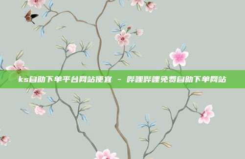 ks自助下单平台网站便宜 - 哔哩哔哩免费自助下单网站