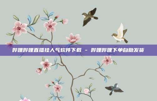 哔哩哔哩直播挂人气软件下载 - 哔哩哔哩下单自助发货