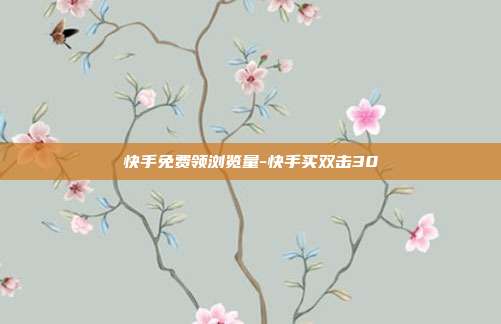 快手免费领浏览量-快手买双击30