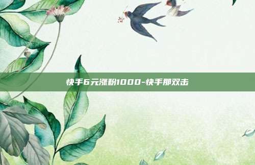 快手6元涨粉1000-快手那双击